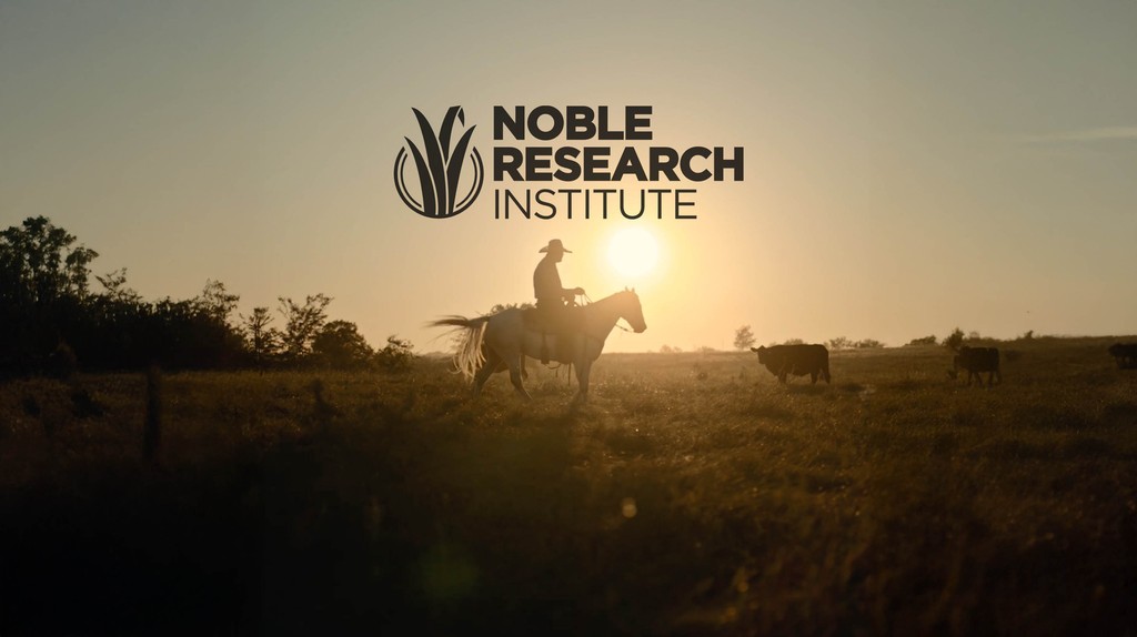 Noble Research Institute campaign still showing a rancher on horseback at sunset