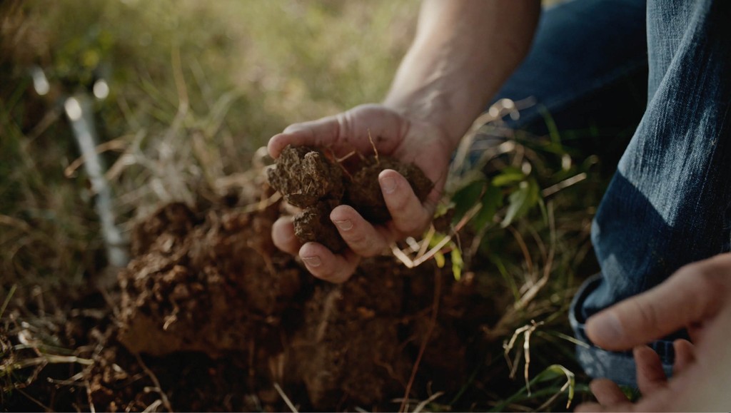 Campaign still showing hands examining soil in a field